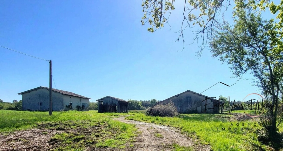 Photos 4 - Équestre - PROPRIETE agricole avec 10.5Ha