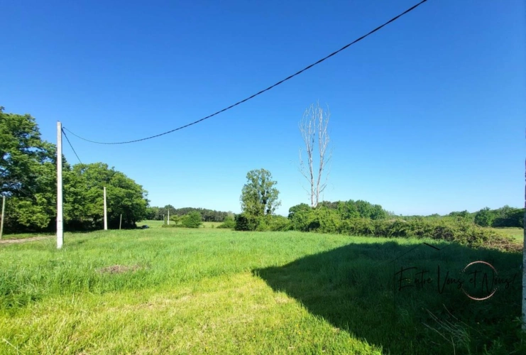 Photos 6 - Équestre - PROPRIETE agricole avec 10.5Ha