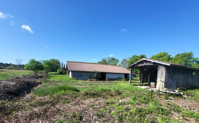 Photos 7 - Équestre - PROPRIETE agricole avec 10.5Ha