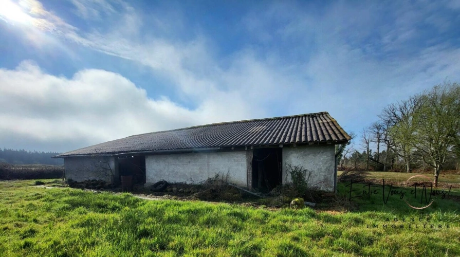 Photos 9 - Équestre - PROPRIETE agricole avec 10.5Ha