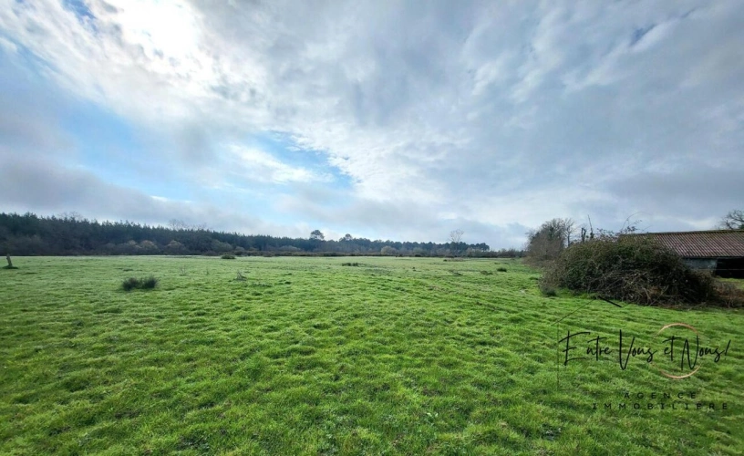 Photos 16 - Équestre - PROPRIETE agricole avec 10.5Ha