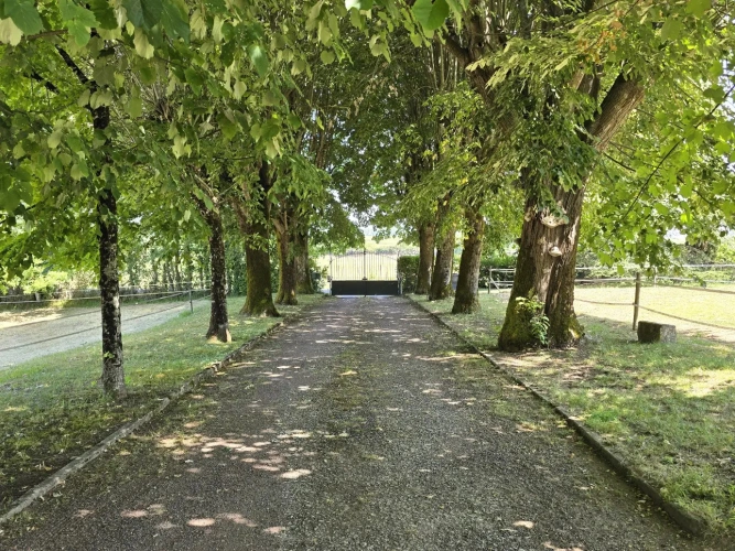 Photos 3 - Équestre - Propriété Equestre - Maison de Maître - arcs de 3 hectares