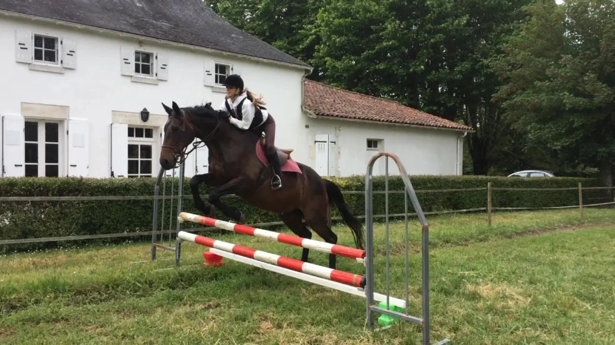 Photos 4 - Équestre - Propriété Equestre - Maison de Maître - arcs de 3 hectares