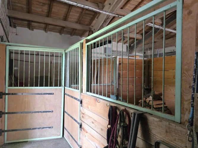 Photos 17 - Équestre - Propriété Equestre - Maison de Maître - arcs de 3 hectares