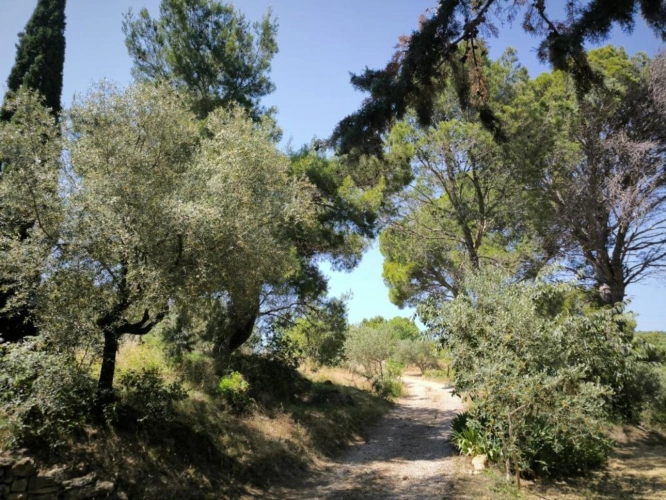Photos 6 - Agricole - Domaine