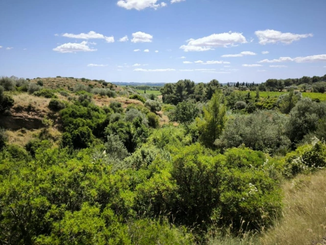 Photos 7 - Agricole - Domaine
