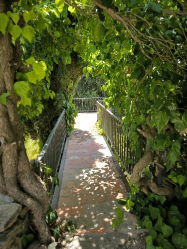 Photos 9 - Agricole - Domaine