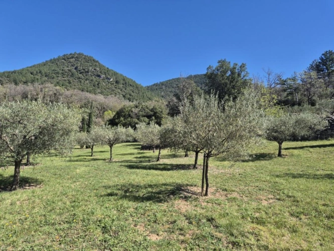 Photos 15 - Prestige - Maison de campagne