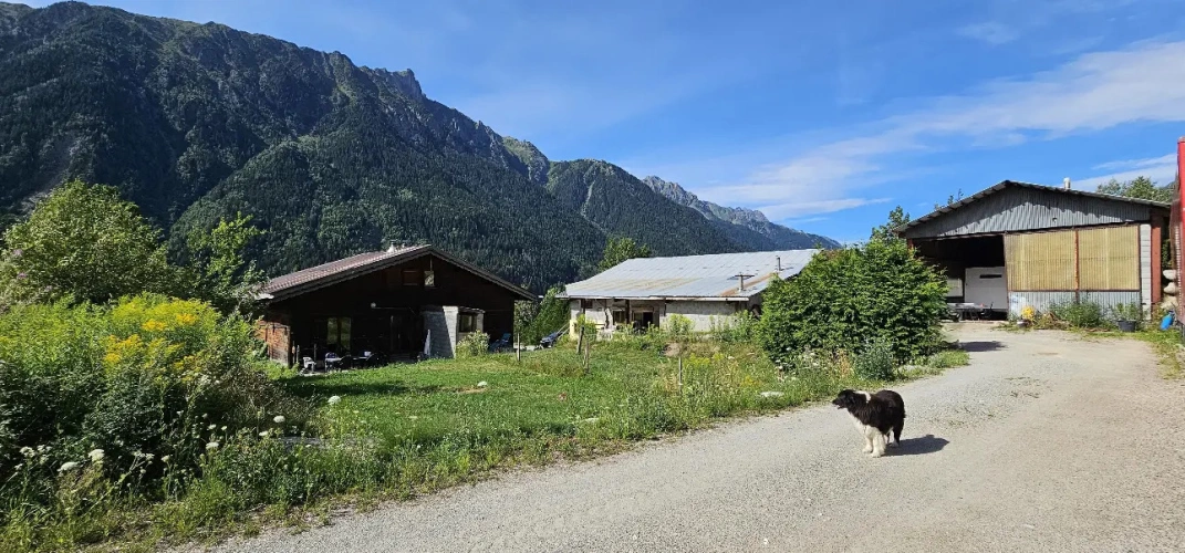 Photos 2 - Équestre - Futur gîte rural ou équestre à Chamonix-Mont-Blanc