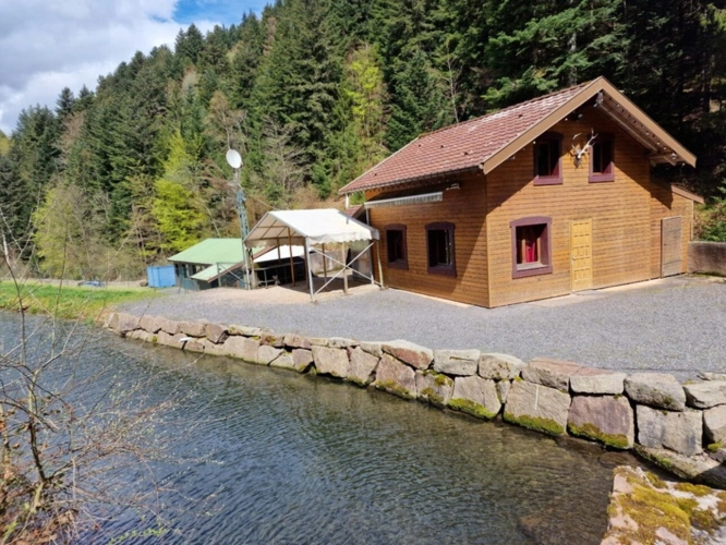 Photos 3 - Prestige - Dpt Bas-Rhin (67), à vendre proche de SAALES propriete P5 avec CHALET T5 + SALLE des FETES + ETANG / terrain de 1 ha où 10000 m2 environ