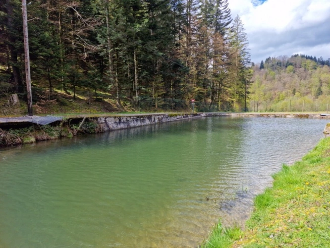 Photos 6 - Prestige - Dpt Bas-Rhin (67), à vendre proche de SAALES propriete P5 avec CHALET T5 + SALLE des FETES + ETANG / terrain de 1 ha où 10000 m2 environ