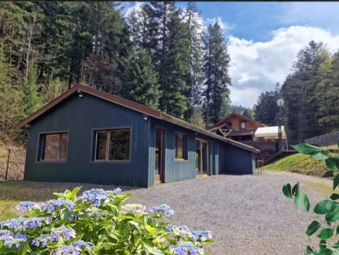 Photos 7 - Prestige - Dpt Bas-Rhin (67), à vendre proche de SAALES propriete P5 avec CHALET T5 + SALLE des FETES + ETANG / terrain de 1 ha où 10000 m2 environ