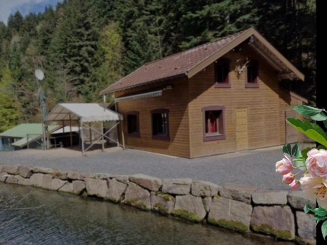 Photos 9 - Prestige - Dpt Bas-Rhin (67), à vendre proche de SAALES propriete P5 avec CHALET T5 + SALLE des FETES + ETANG / terrain de 1 ha où 10000 m2 environ