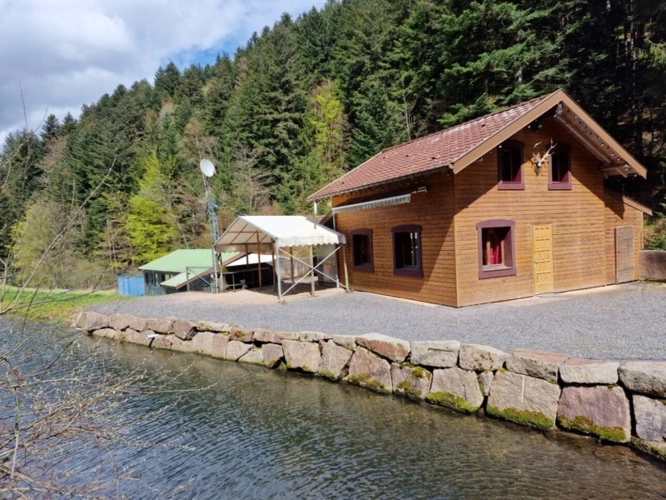 Photos 11 - Prestige - Dpt Bas-Rhin (67), à vendre proche de SAALES propriete P5 avec CHALET T5 + SALLE des FETES + ETANG / terrain de 1 ha où 10000 m2 environ