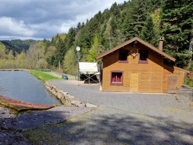 Photos 19 - Prestige - Dpt Bas-Rhin (67), à vendre proche de SAALES propriete P5 avec CHALET T5 + SALLE des FETES + ETANG / terrain de 1 ha où 10000 m2 environ