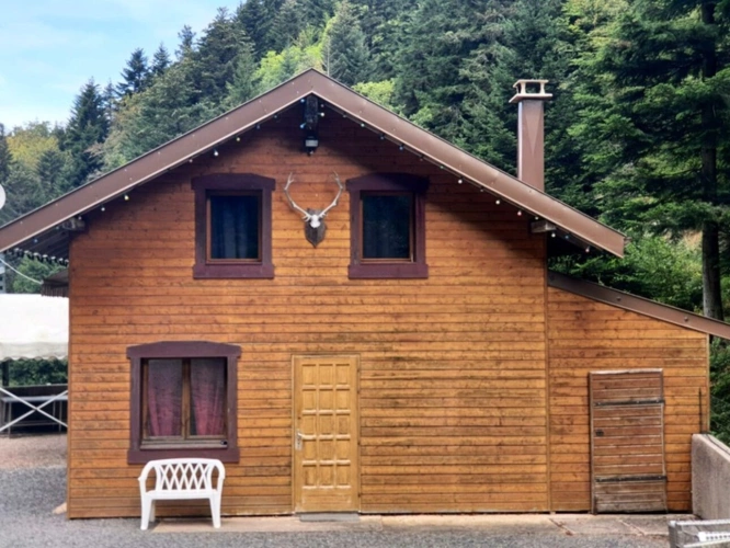 Photos 25 - Prestige - Dpt Bas-Rhin (67), à vendre proche de SAALES propriete P5 avec CHALET T5 + SALLE des FETES + ETANG / terrain de 1 ha où 10000 m2 environ