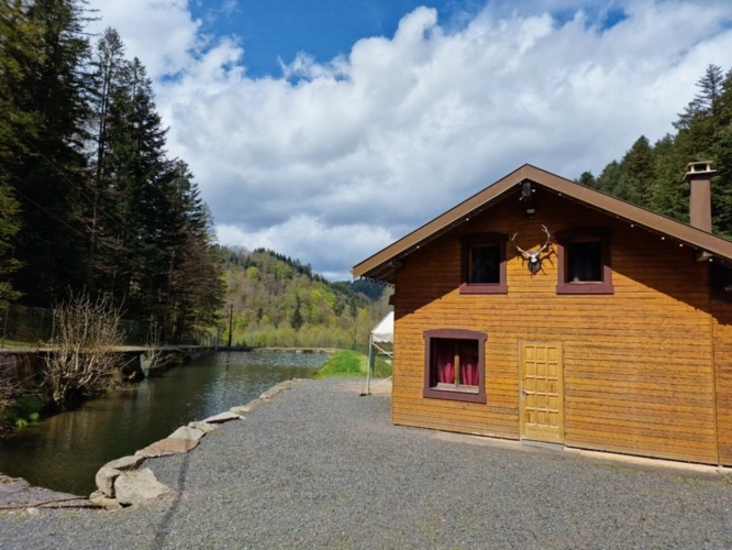 Photos 27 - Prestige - Dpt Bas-Rhin (67), à vendre proche de SAALES propriete P5 avec CHALET T5 + SALLE des FETES + ETANG / terrain de 1 ha où 10000 m2 environ