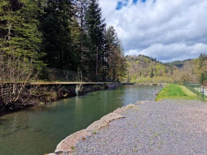 Photos 29 - Prestige - Dpt Bas-Rhin (67), à vendre proche de SAALES propriete P5 avec CHALET T5 + SALLE des FETES + ETANG / terrain de 1 ha où 10000 m2 environ