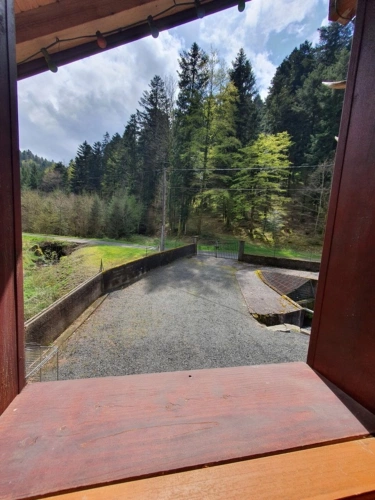Photos 33 - Prestige - Dpt Bas-Rhin (67), à vendre proche de SAALES propriete P5 avec CHALET T5 + SALLE des FETES + ETANG / terrain de 1 ha où 10000 m2 environ