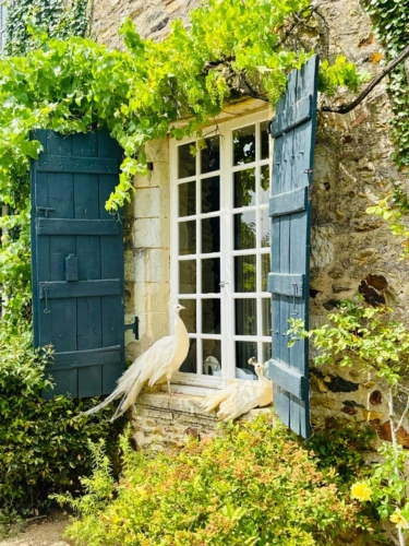 Photos 2 - Touristique - À VENDRE MAYENNE – Manoir d’exception du XIIIe siècle sur 3 hectares – Gîte ou demeure familiale de charme