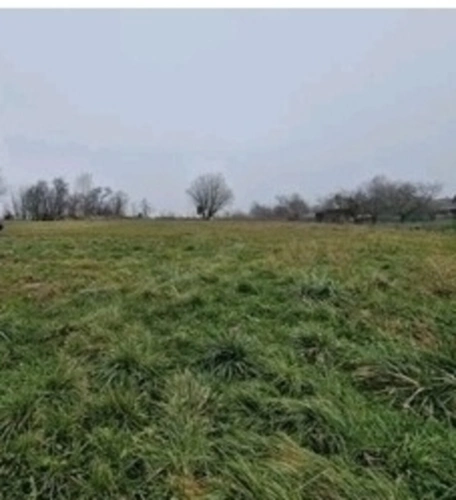 Photos 11 - Équestre - Propriete à vendre 7 pièces proche de EPINAL (88) FERME rénovée + HANGAR/GARAGE + 5000 m2 de TERRAIN