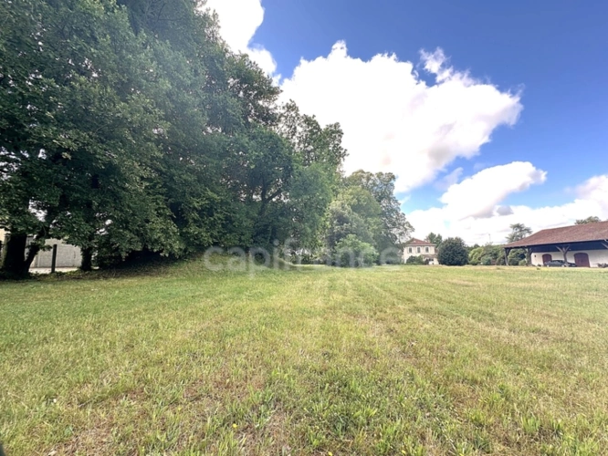 Photos 4 - Prestige - Maison de Maitre-dépendances-parc de 1,2 ha-Hypercentre de SALLES (33)