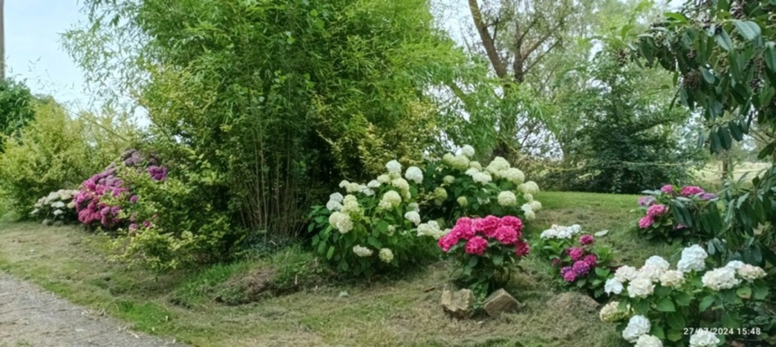 Photos 50 - Équestre - Propriété à vendre SAINT HILAIRE ( allier) comprenant une maison et un gite sur un parc de 23433 m²