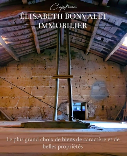 Photos 3 - Touristique - A vendre - Corps de ferme au charme rustique avec un fort potentiel de division - Saint-Laurent-De-Mûre