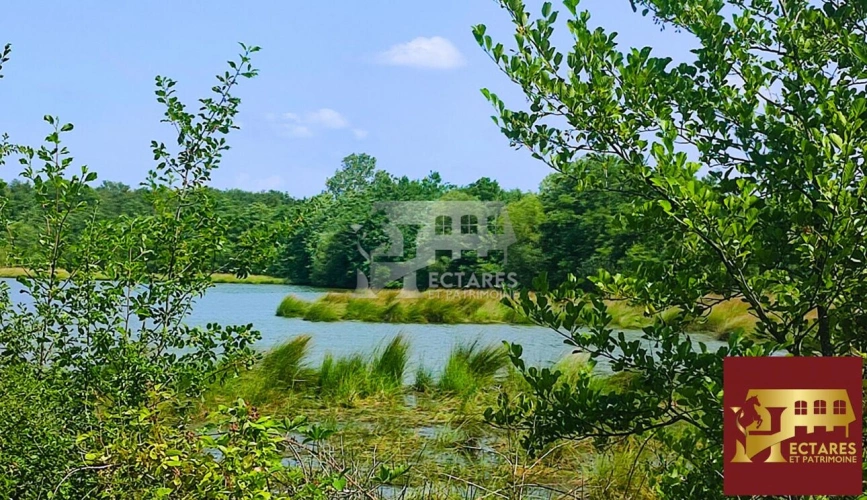 Photos 3 - Forestière - Domaine d'exception coeur Dombes