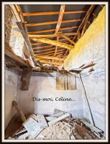 Photos 13 - Touristique - Maison à vendre 6 pièces VALGELON-LA ROCHETTE (73) 197 m² de surface plancher