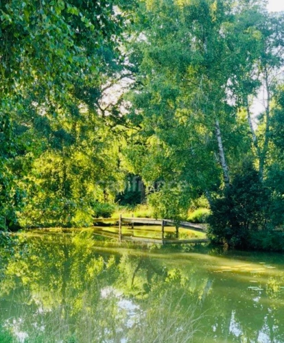 Photos 1 - Foncière - Échappée Nature : Votre Havre de Paix au Cœur de la Nature