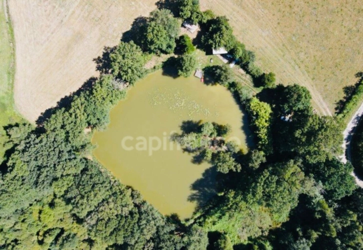 Photos 3 - Foncière - Échappée Nature : Votre Havre de Paix au Cœur de la Nature