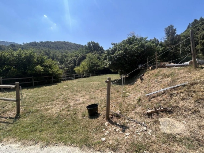 Photos 29 - Équestre - RARE PROPRIÉTÉ ÉQUESTRE SUR 11 796 m² - Auriol (13)