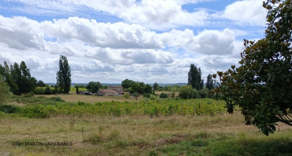 Photos 3 - Touristique - Propriete à vendre 5 pièces  avec un chai et une dépendance