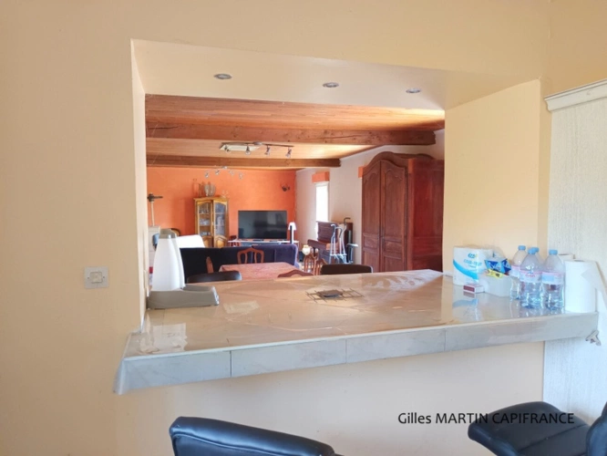 Photos 8 - Touristique - Propriete à vendre 5 pièces  avec un chai et une dépendance