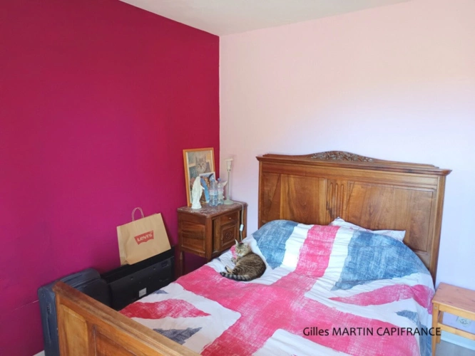 Photos 9 - Touristique - Propriete à vendre 5 pièces  avec un chai et une dépendance
