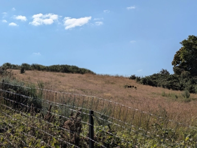 Photos 26 - Touristique - Séglien en campagne longère en pierre rénovée avec vie de plain pied de 219m², garage, atelier et dépendance parcelle de 7125m²