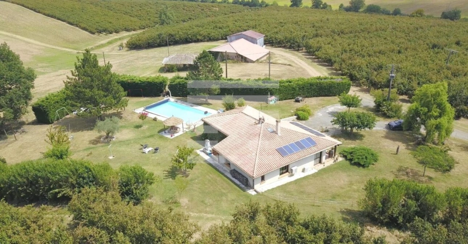 Photos 1 - Agricole - Propriété arboricole