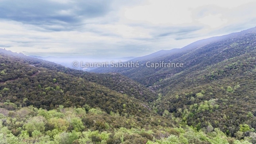 Photos 1 - Forestière - Dpt Pyrénées Orientales (66), à vendre GLORIANES - Terrain 240 hectares