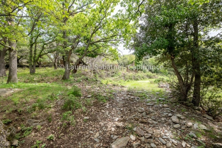 Photos 4 - Forestière - Dpt Pyrénées Orientales (66), à vendre GLORIANES - Terrain 240 hectares