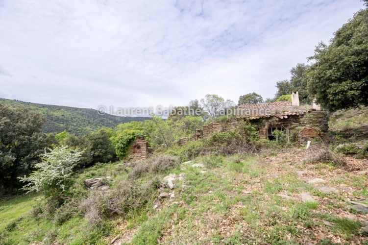 Photos 5 - Forestière - Dpt Pyrénées Orientales (66), à vendre GLORIANES - Terrain 240 hectares