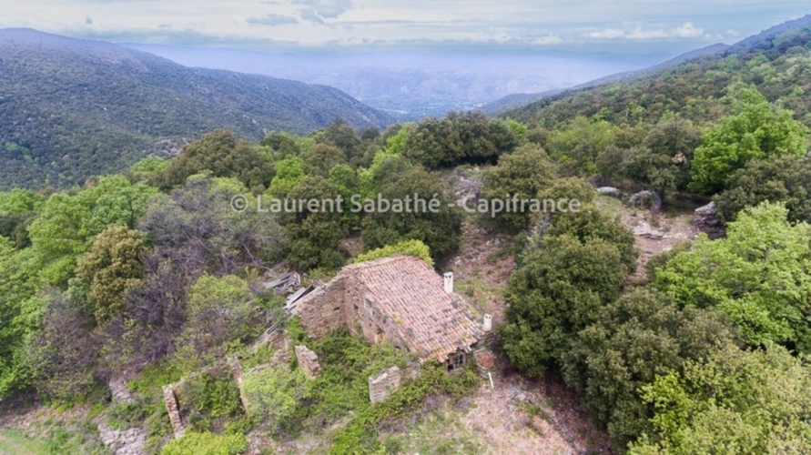 Photos 7 - Forestière - Dpt Pyrénées Orientales (66), à vendre GLORIANES - Terrain 240 hectares