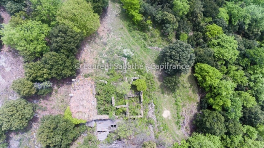 Photos 9 - Forestière - Dpt Pyrénées Orientales (66), à vendre GLORIANES - Terrain 240 hectares