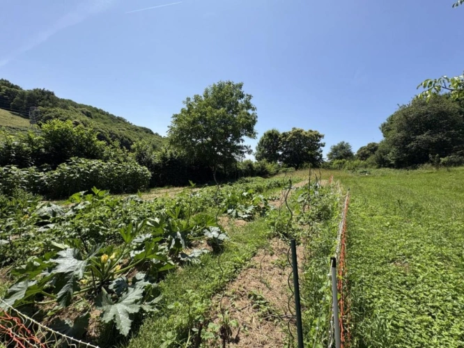 Photos 19 - Touristique - Maison