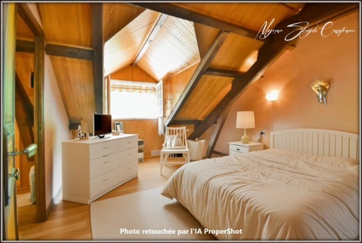 Photos 29 - Prestige - Propriete à vendre 8 pièces MIMIZAN (40)avec lac privatif