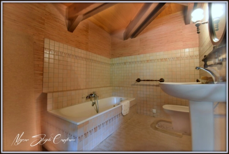 Photos 32 - Prestige - Propriete à vendre 8 pièces MIMIZAN (40)avec lac privatif