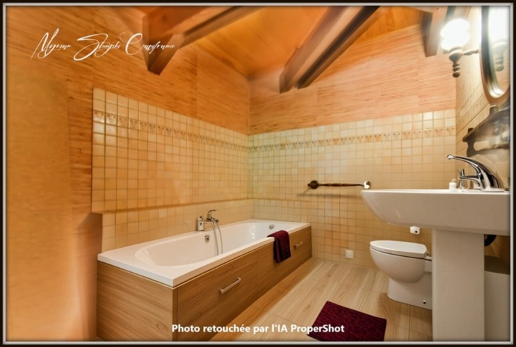 Photos 33 - Prestige - Propriete à vendre 8 pièces MIMIZAN (40)avec lac privatif