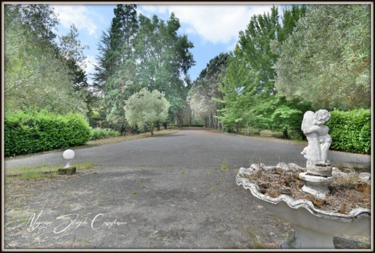Photos 40 - Prestige - Propriete à vendre 8 pièces MIMIZAN (40)avec lac privatif