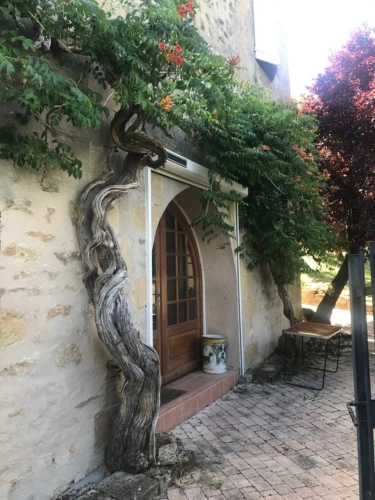 Photos 8 - Touristique - Domaine à vendre au cœur des Amognes