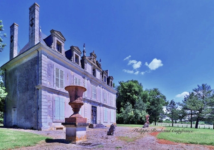 Photos 1 - Prestige - Château du XVIIᵉ siècle à vendre, 17 pièces, FOUSSAIS PAYRE (85)